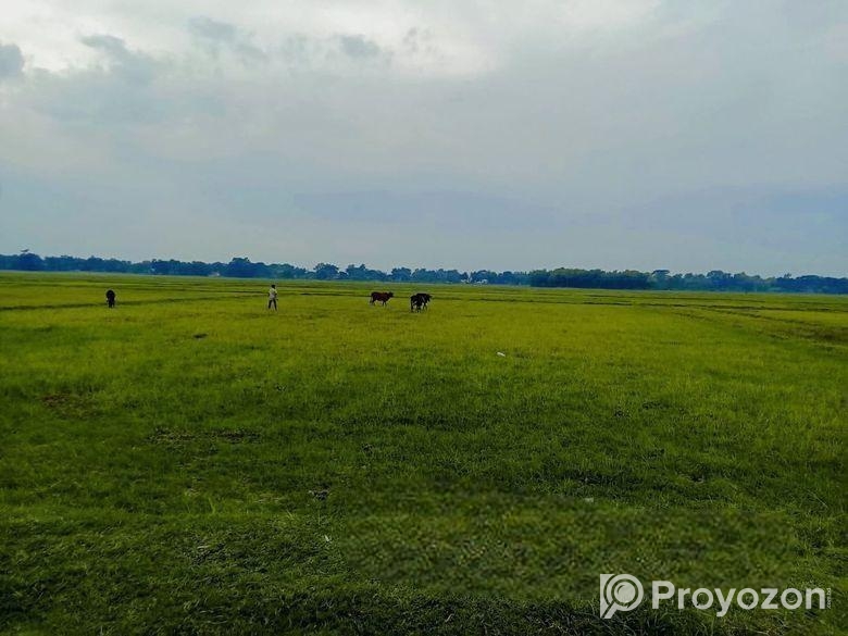 বাড়ি করার উপযোগী জমি বিক্রয়