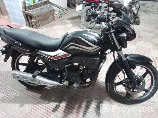 Runner Royal Plus . 2019