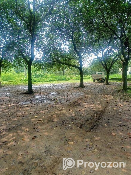 নিরিবেরি পরিবেশে বসবাসের উপযোগী @ 10 কাঠা প্লট বিক