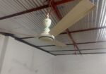 Walton Fan with Safety Guard