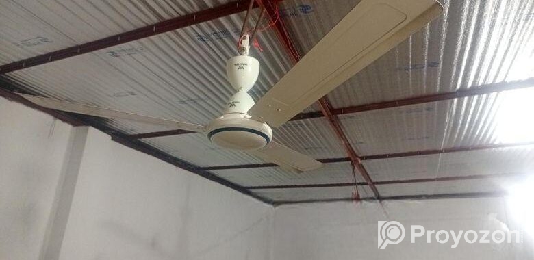 Walton Fan with Safety Guard