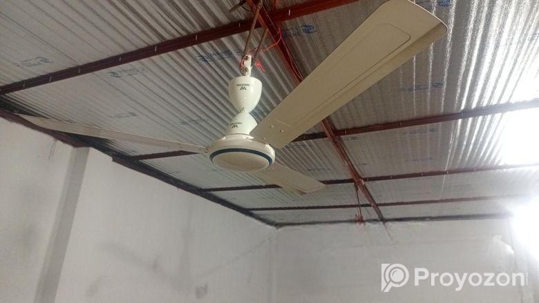 Walton Fan with Safety Guard