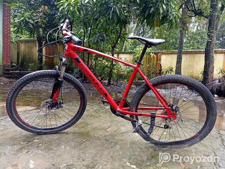Bicycle for sale
