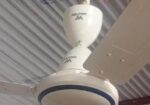 Walton Fan with Safety Guard