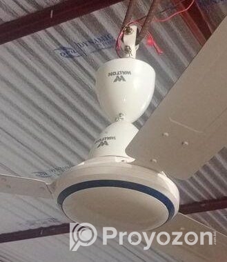 Walton Fan with Safety Guard