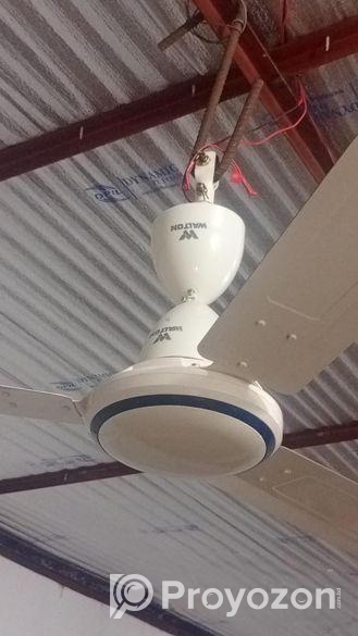 Walton Fan with Safety Guard