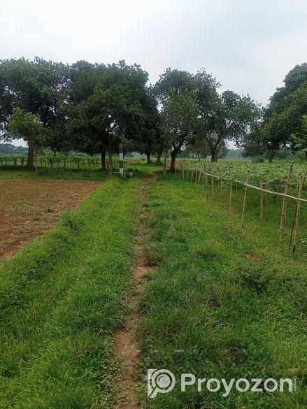 নিরিবেরি পরিবেশে বসবাসের উপযোগী @ 10 কাঠা প্লট বিক