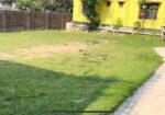 নোয়াখালী মাইজদী জেলা শহরের প্রাণকেন্দ্রে জায়গা ব