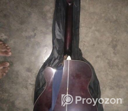 guitar