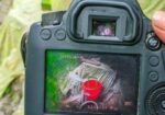 Dslr Canon 6d Camera