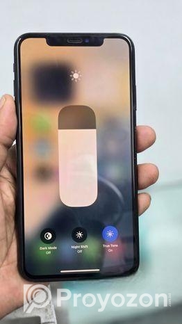 Apple iPhone XS Max 256 gb full fresh (Used)