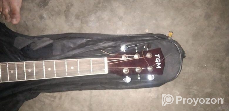 guitar