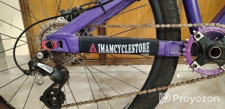 boarse sun 6.1 custom build bicycle