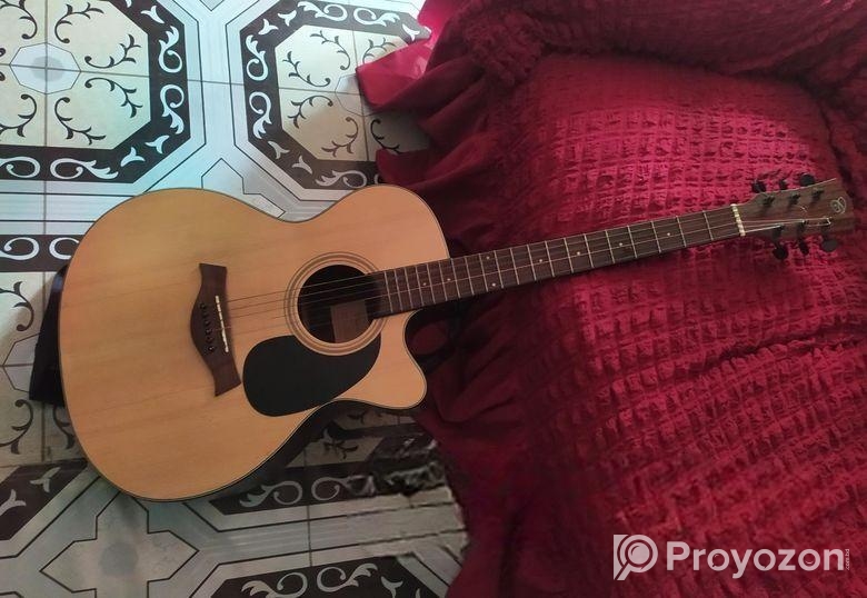 গিটার ফুল ফ্রেশ কন্ডিশন