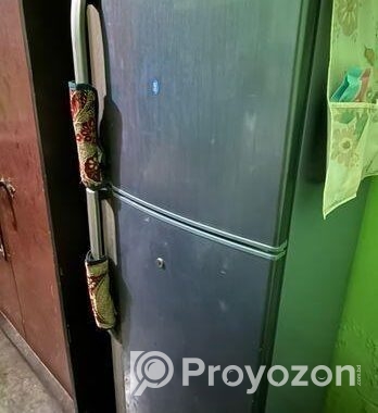 Sharp fridge