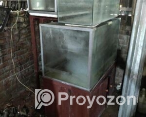 fitted-6_2025-08-05_09-08-05