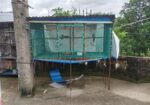 পাখির খাঁচা