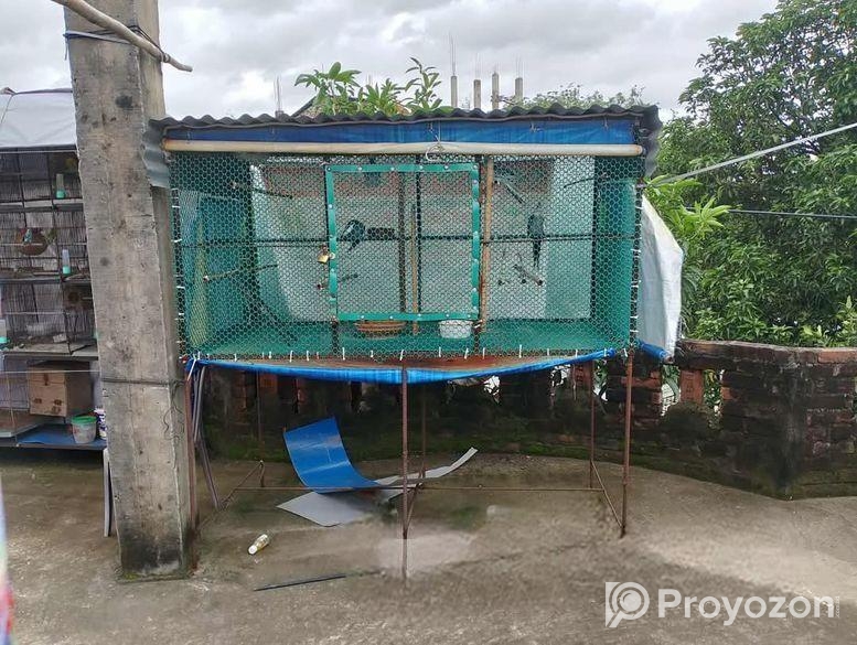 পাখির খাঁচা