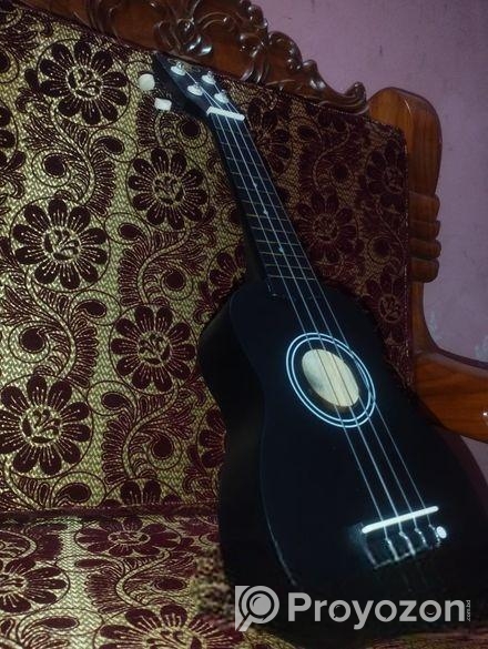 Ukulele (উকুলেলে) 21″ ইউকুলেলি ব্যাগ এবং ২টি পিক