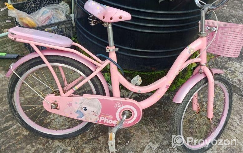 লেডিস সাইকেল ২০ ইঞ্চি