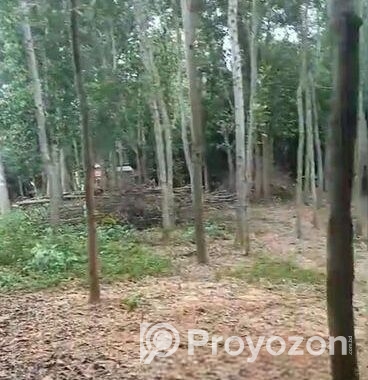 ৬০ শতক জায়গা বিক্রি করা হবে