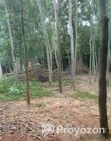 ৬০ শতক জায়গা বিক্রি করা হবে