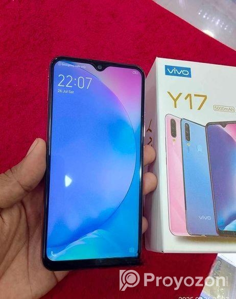 Vivo Y17 8/256 (Used)