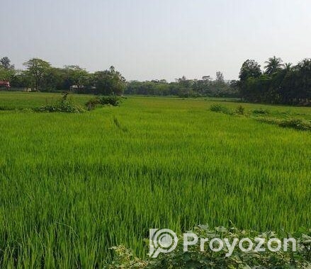 পূর্ব দেবীপুর (মাইজদী), নোয়াখালীতে একটি বড় জমি বিক
