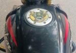 Bajaj Pulsar Single Disc ON TEST 2022