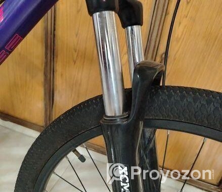 boarse sun 6.1 custom build bicycle