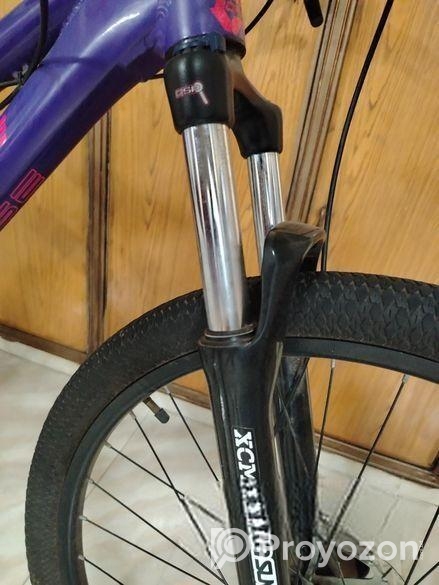 boarse sun 6.1 custom build bicycle