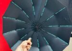Premium 12-Ribs Wooden Handle Umbrella – Stylish &