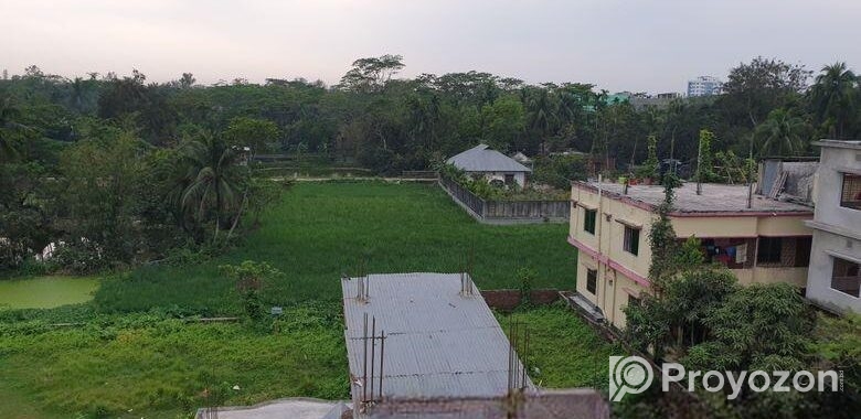 পূর্ব দেবীপুর (মাইজদী), নোয়াখালীতে একটি বড় জমি বিক