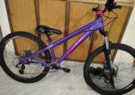 boarse sun 6.1 custom build bicycle