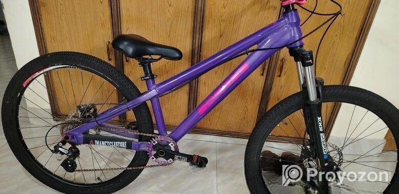 boarse sun 6.1 custom build bicycle