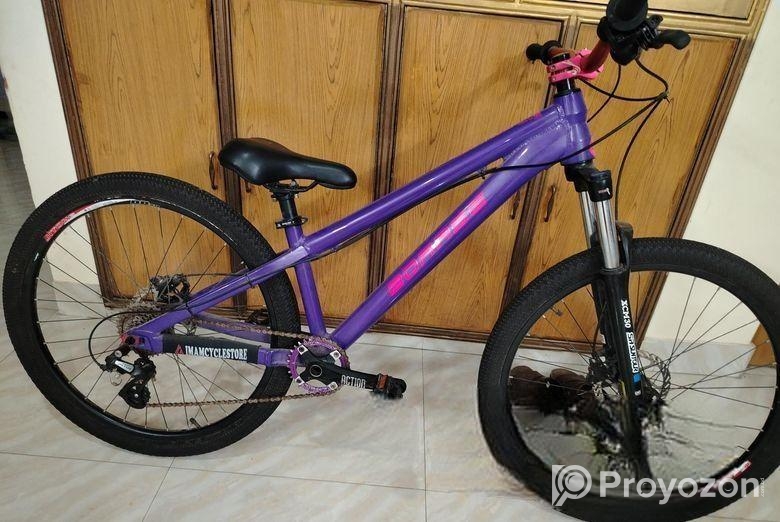 boarse sun 6.1 custom build bicycle