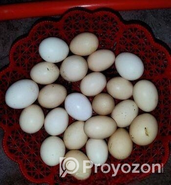 দেশি মুরগির ডিম