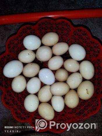 দেশি মুরগির ডিম
