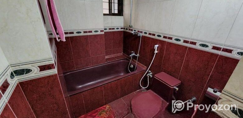 Dhanmondi Full Furnished Lake Side Apartment For R