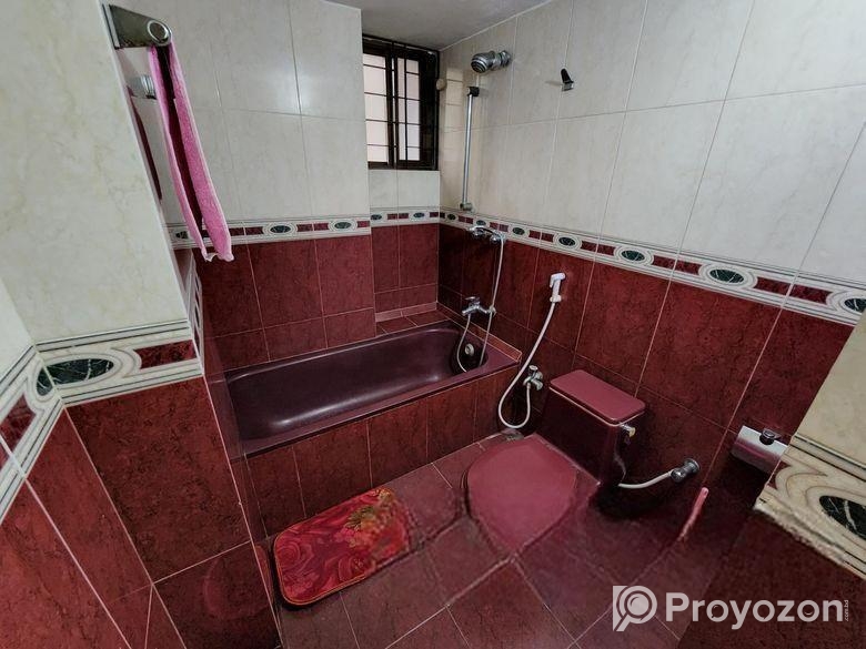 Dhanmondi Full Furnished Lake Side Apartment For R