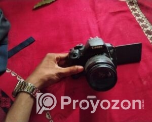 fitted-74_2025-08-19_11-22-49