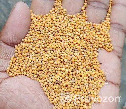 সরিষা