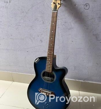 Yamaha Cm 2 Guitar sell