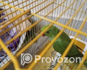 fitted-75_2025-08-25_11-08-27