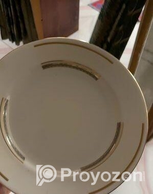 Dinner Set / Plate