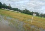একটি জমি বিক্রয় করা হবে