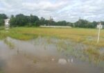 একটি জমি বিক্রয় করা হবে