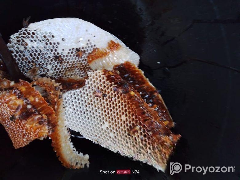 প্রাকৃতিক চাকের খাঁটি মধু