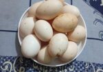 অরজিনাল ব্রাহামা মুরগী বিজ ডিম