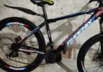 Phoenix for sale